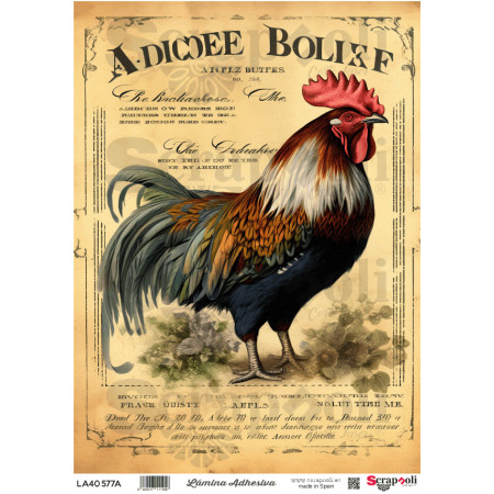 LAMINA ADHESIVA A4-577