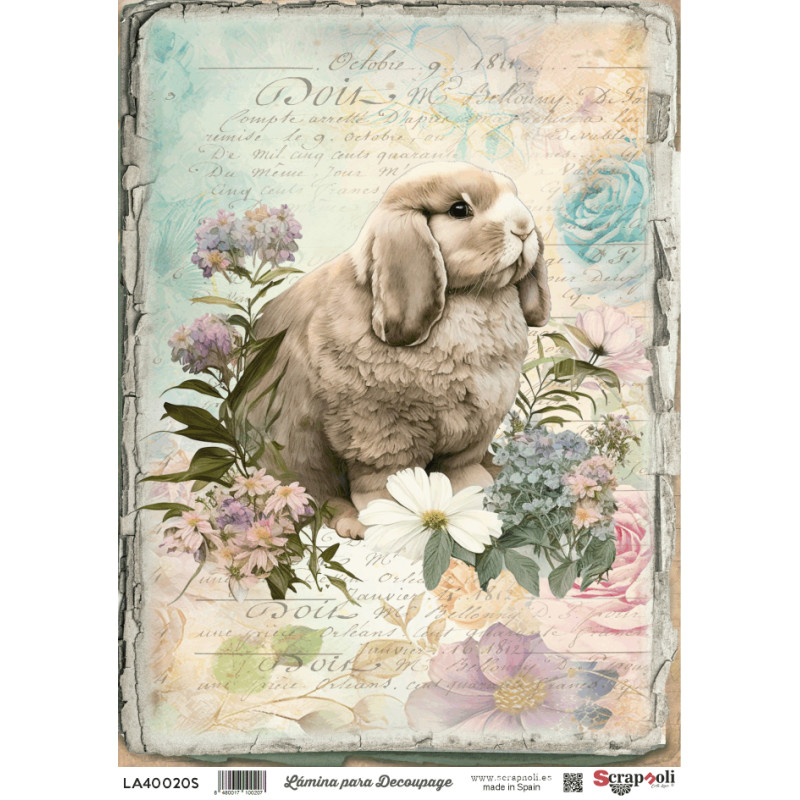 LAMINA DECO A4-20