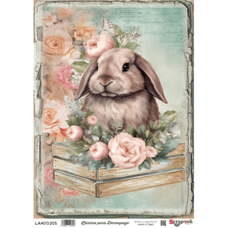 LAMINA DECO A4-30