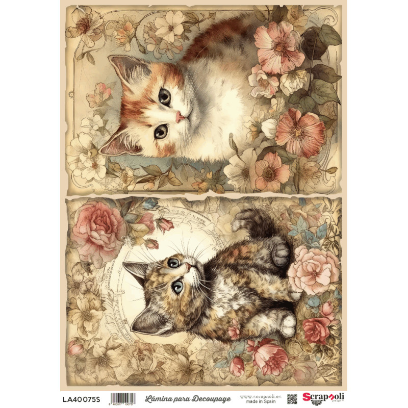 LAMINA DECO A4-75