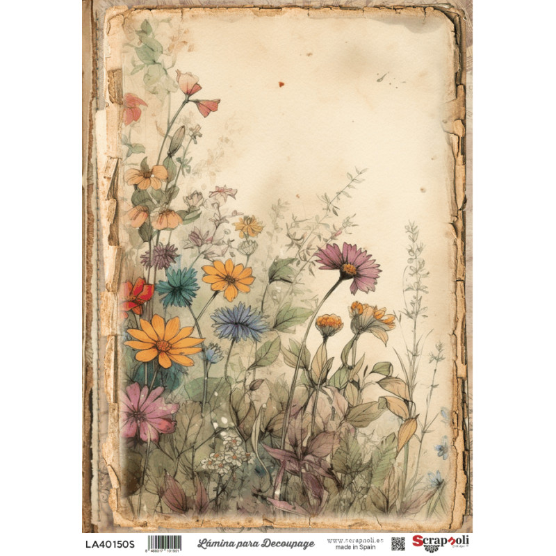 LAMINA DECO A4-150