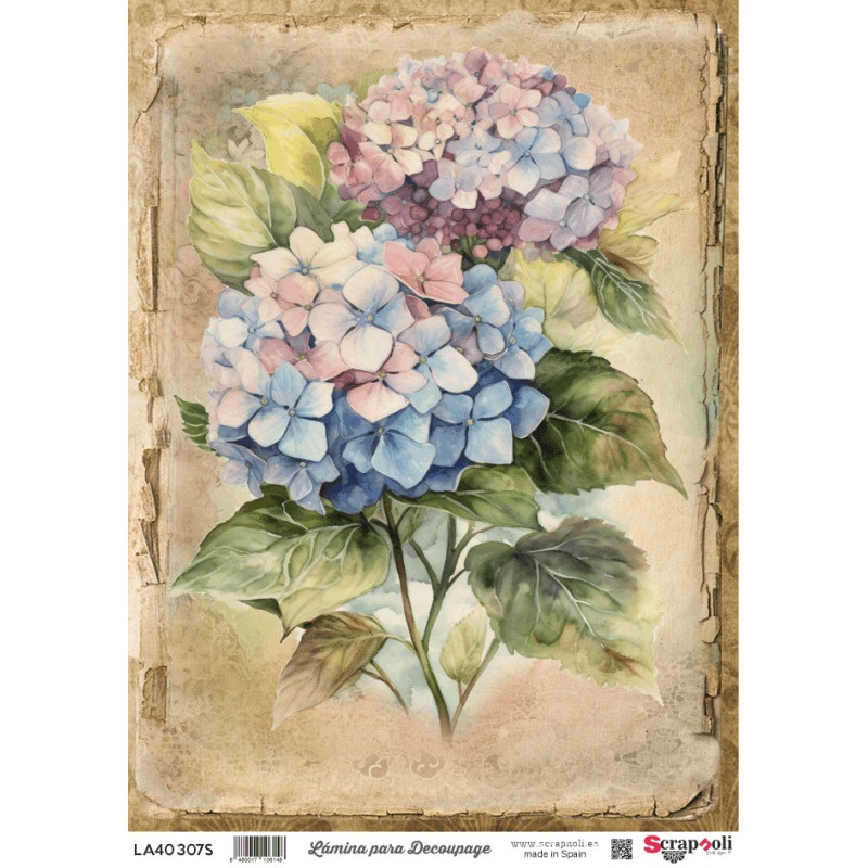 LAMINA DECO A4-307