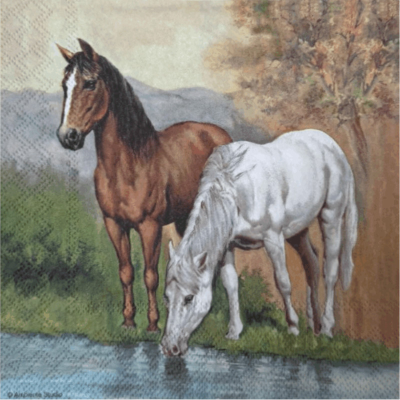 Servilleta Papel 18