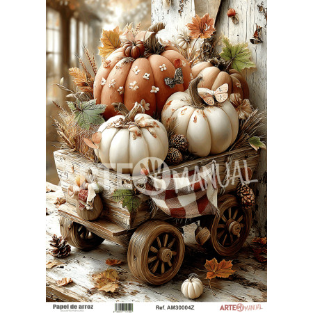 LAMINA ARROZ AYM A3-4