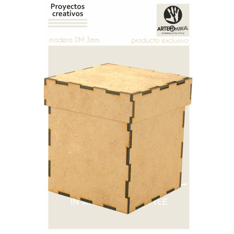 CAJA TAPA 1