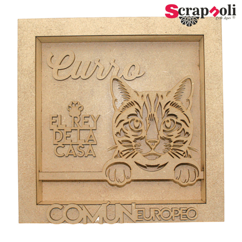 Cuadro Gato 6