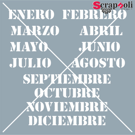 MESES ST1