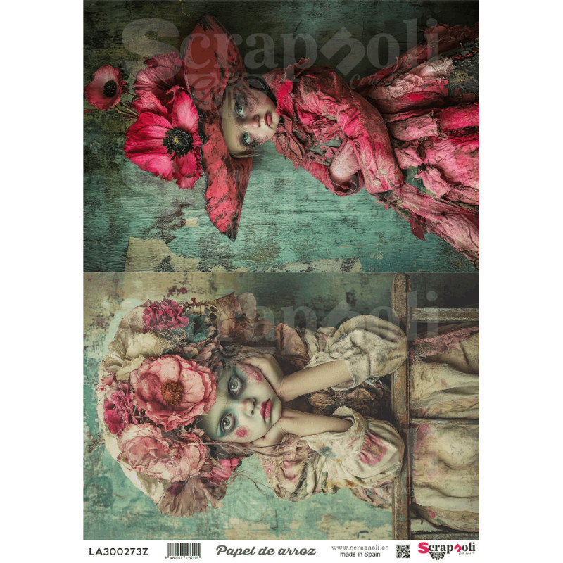 LAMINA A-0273