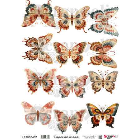 LAMINA A-0343