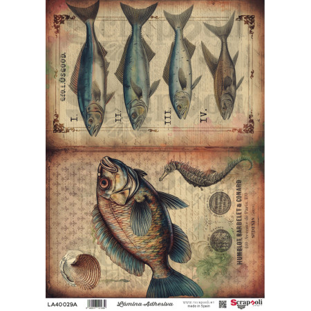 LAMINA ADHESIVA A4-29