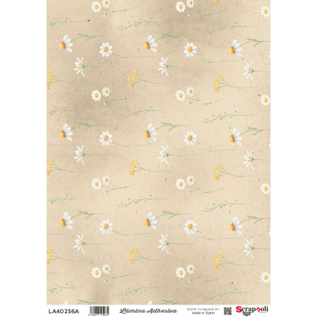 LAMINA ADHESIVA A4-267