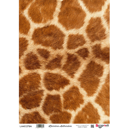 LAMINA ADHESIVA A4-279