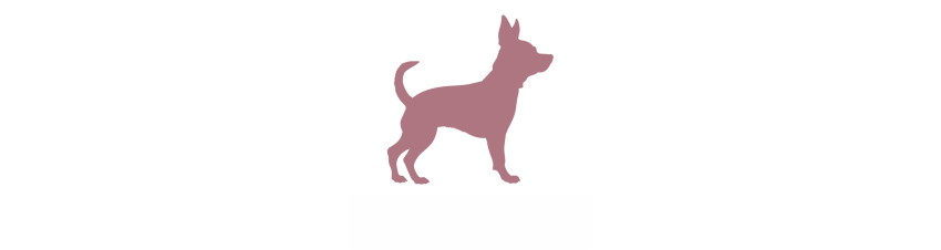PERRO